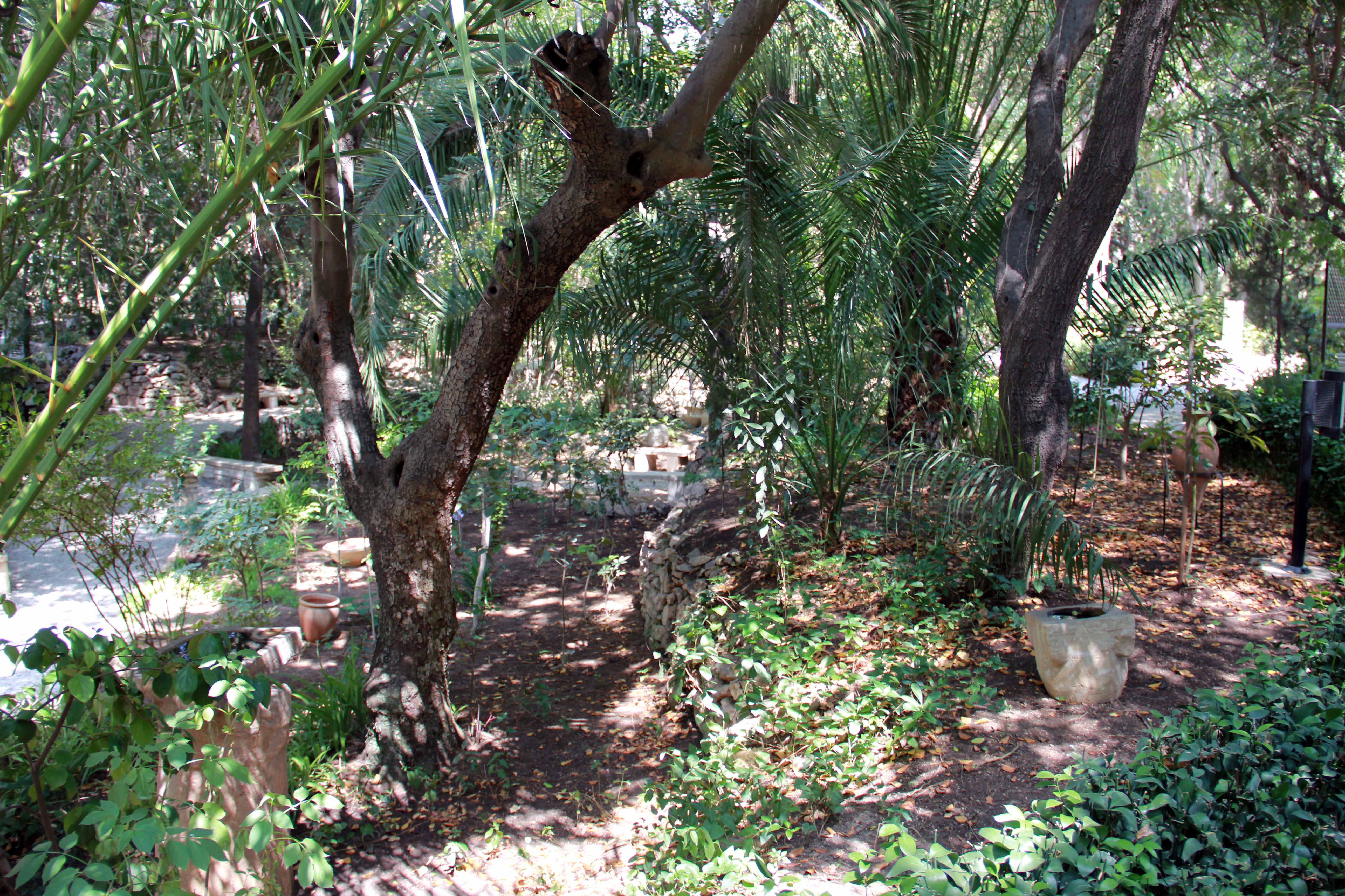 Garden Tomb image 6